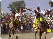 Celebration of Pushkar Fair