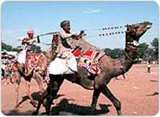 Pilgrimage to Pushkar