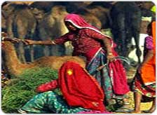 Time of Pushkar Fair