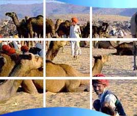 Tourism in Pushkar, Tourist Places in Pushkar, Pushkar Tourism, Tourist Destinations in Pushkar, Tours to Pushkar