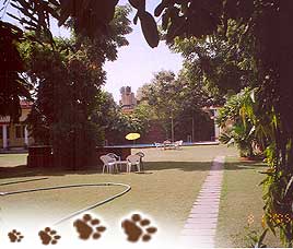 Ankur Resort