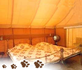 Deluxe Resorts in Ranthambore / Sawai Madhopur