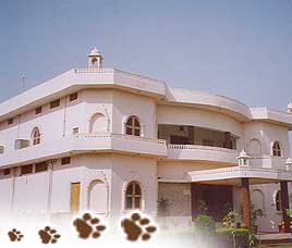 Raj Palace Resort