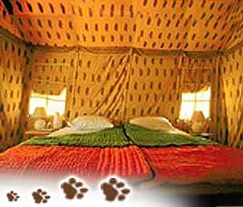 Ranthambore Bagh Resort 