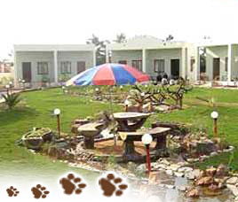 The Pugmark Resort Ranthambore 