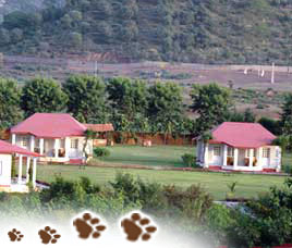 Tiger Den Resort