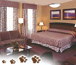 Tiger Machan Resorts Ranthambore