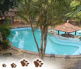 Tiger Moon Resort