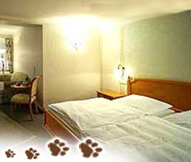 Tiger Safari Resort