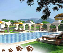 Wildlife Resorts in Ranthambore