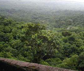 Climate in Sanjay Gandhi National Park 