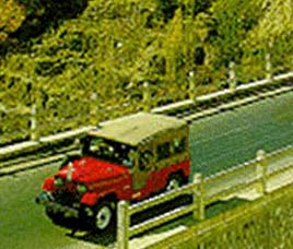  Sanjay Gandhi National Park Happenings 