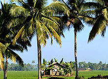 Beautiful Kerala