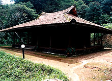Calicut Wayanad Tour