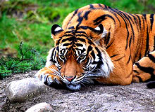 Chennai Periyar Tour