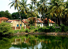 Cochin Heritage Tour