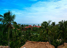 Cochin Kovalam Tour