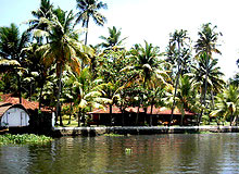 Cochin Periyar Tour