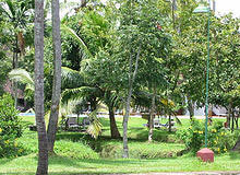 Cochin Spice Tour