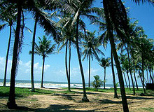 Kerala Beach Tours