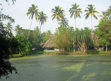 Kerala with Exotic Goa