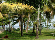 Kumarakom Culinary Tour