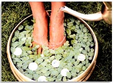 India Ayurvedic Resorts