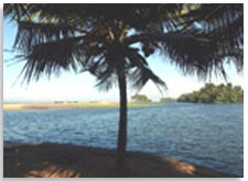 Ayurvedic Facilities in Beach and Lake Ayurvedic Resort Trivandrum