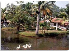 Ayurvedic Facilities in Golden Waters Kumarakom