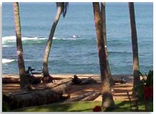 Ayurvedic Facilities in Thapovan Heritage Home Kovalam