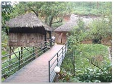 Ayurvedic Facilities in Vythiri Resort Wayanad