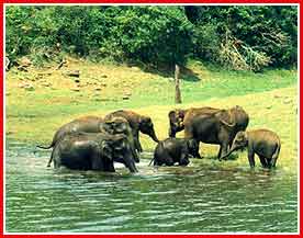 Holiday in Idukki
