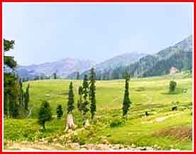 Holiday in Gulmarg