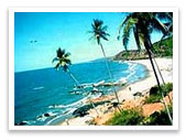 Goan Carnival Tour