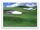 Golf in India Tour