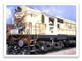 Palace on Wheels Tour