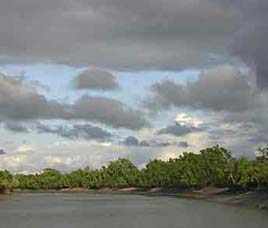 Climate in Sunderbans