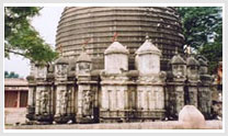 Angami Nagas