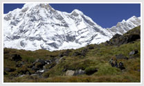 Uttaranchal Tour Packages