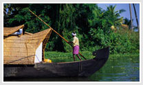 Beautiful Nest and Backwater