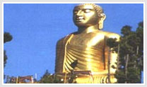 India Pilgrimage Tour Packages