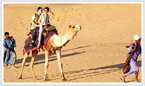 Camel Safari Tour