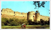 Central India Royal and Tribal Experience