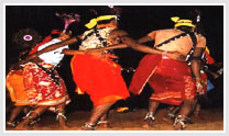 Chhattisgarh & Madhya Pradesh Tribal Tour