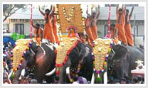 Culture Of Karnataka With Wildlife