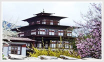 Forts, Haveli, Palaces & Monasteries Tour with Bhutan