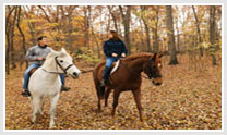 Horse Safari Southern Sojourn