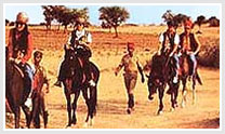 Horse Safari in Rajasthan