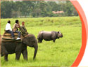 India Safari Tours