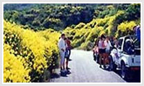 Jeep Safari Adventure in Kumaon Himalayas